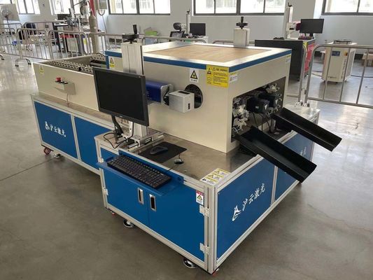 Fonte laser RAYCUS 20w/30w/50w/100w Fibra laser di marcatura per metalli e non metalli